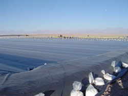 土工膜供應  價格實惠