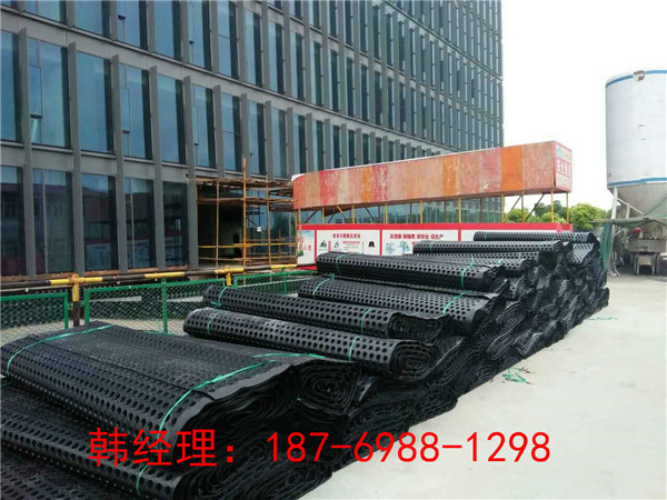 湘潭屋頂花園排水板（衡陽新聞HDPE凹凸過水板）