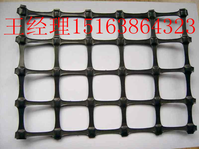 廣西TGSG雙向塑料拉伸土工格柵