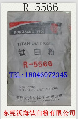 ÅÊÖ¦»¨îÑ°×·ÛR-5566