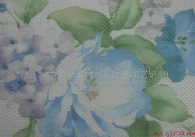 供應PET布(印花基布)