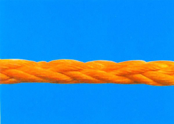 高分子聚乙烯繩索（迪尼麻） 