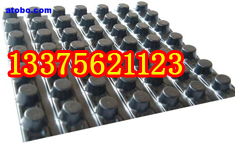 齊齊哈爾排水板；齊齊哈爾防滲膜；防排水板