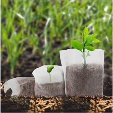 育苗袋專用PP無紡布