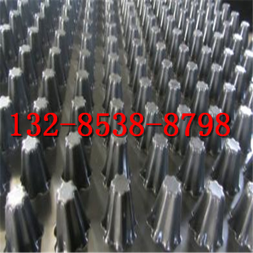 深圳屋麵種植綠化排水板+25塑料板排水層》新聞現場​