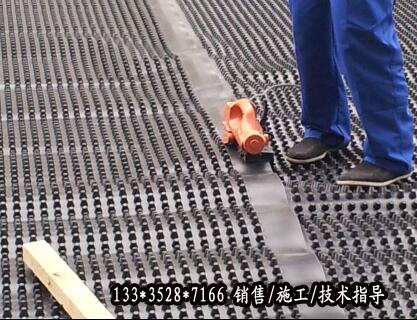 華陰20mm車庫塑料濾水板銷售；屋頂花園綠化排水板