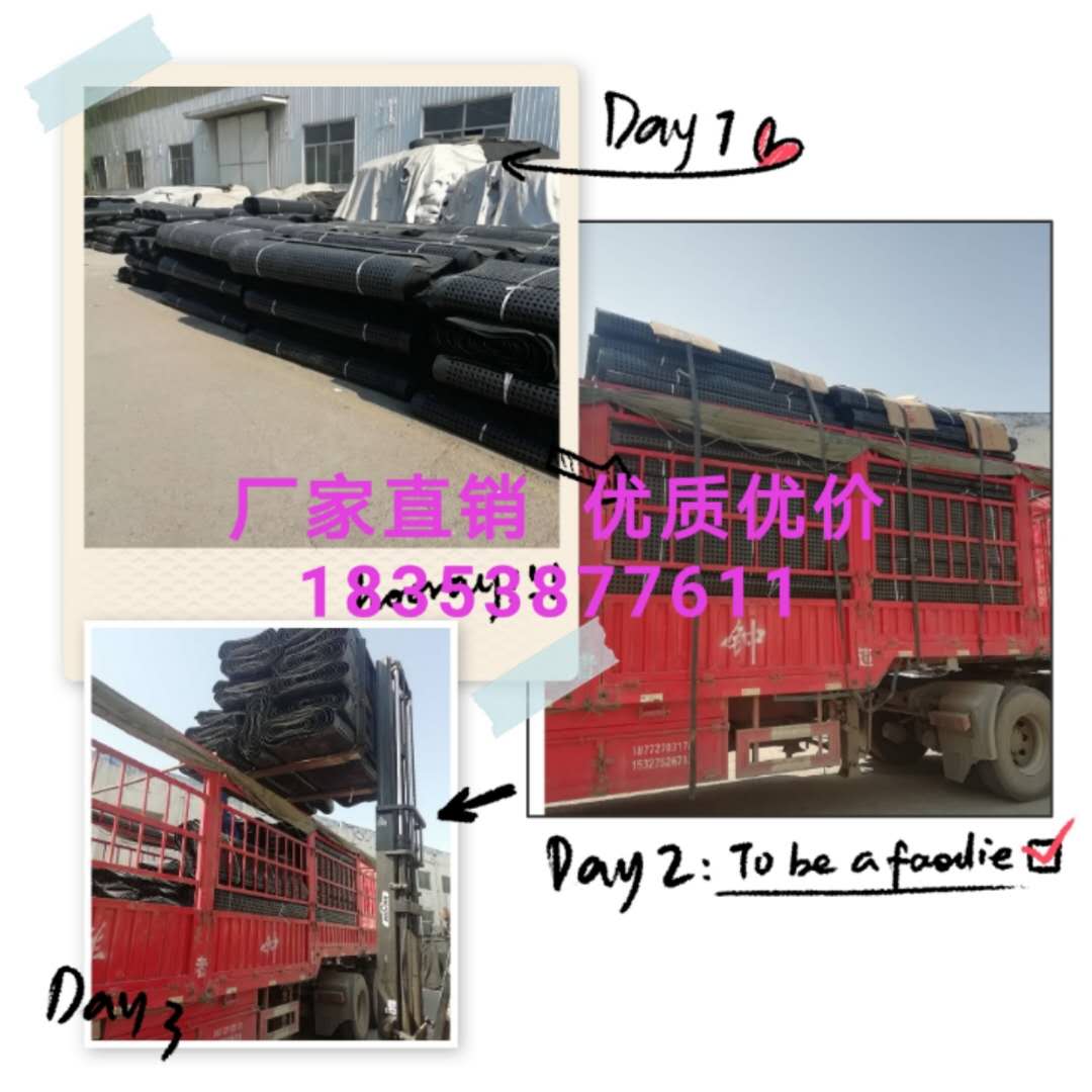 供應鞍山凹凸塑料排水板/山東排水板生產廠家