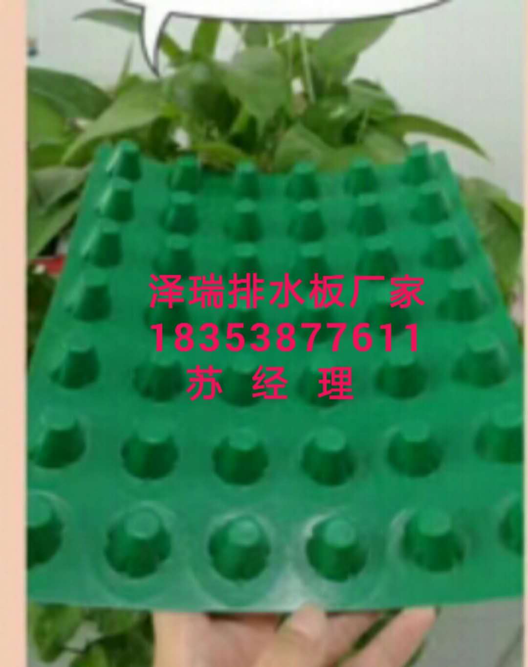 莆田5公分車庫頂板蓄排水板-全國銷售