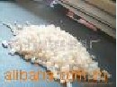 白丙綸PP再生料