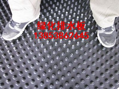 北京園林屋頂綠化專用（——北京排水板）