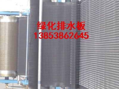 山東排水板，綠化專用蓄排水板