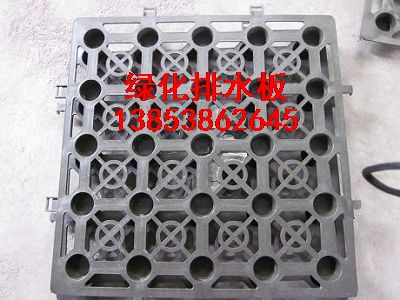 黑龍江排水板++）哈爾濱排水板銷售