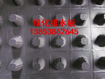 吉林排水板++）長春蓄排水板