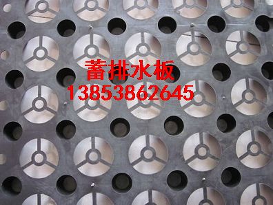 遼寧蓄排水板（沈陽排水板銷售）遼寧排水板