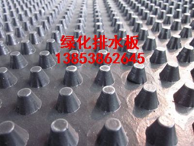 山東聚乙烯排水板（（凹凸塑料排水板））