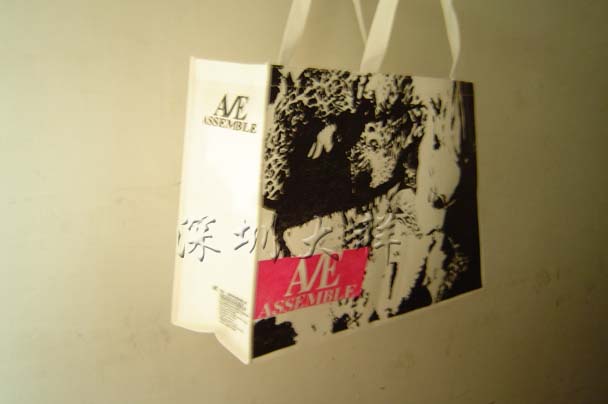 深圳大祥公司供應環保袋